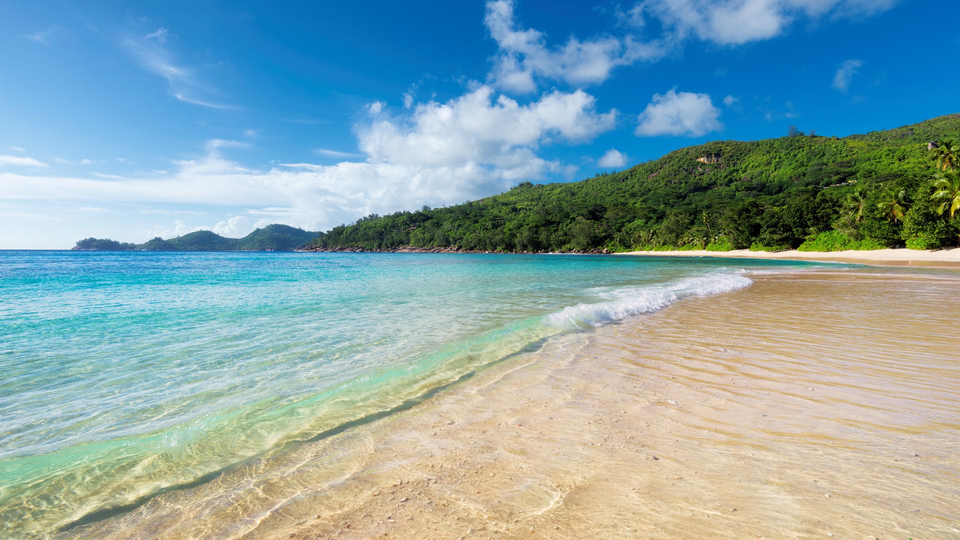 Caribbean